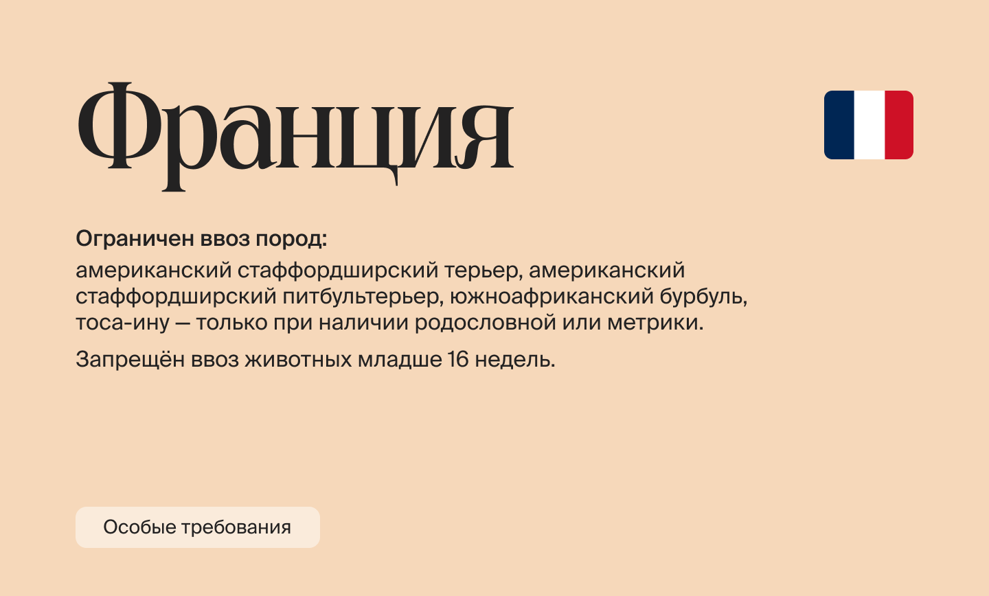 Как релоцироваться с питомцем в 2026 году: правила и документы